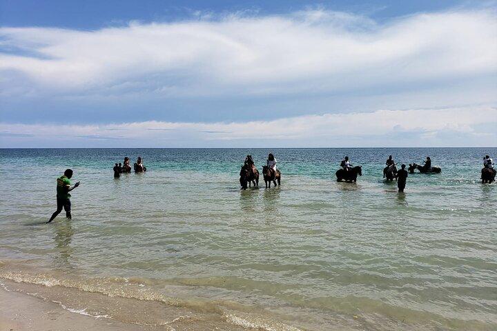 Private ATV, Horse Back Ride & Blue Hole Experience in Ocho Rios