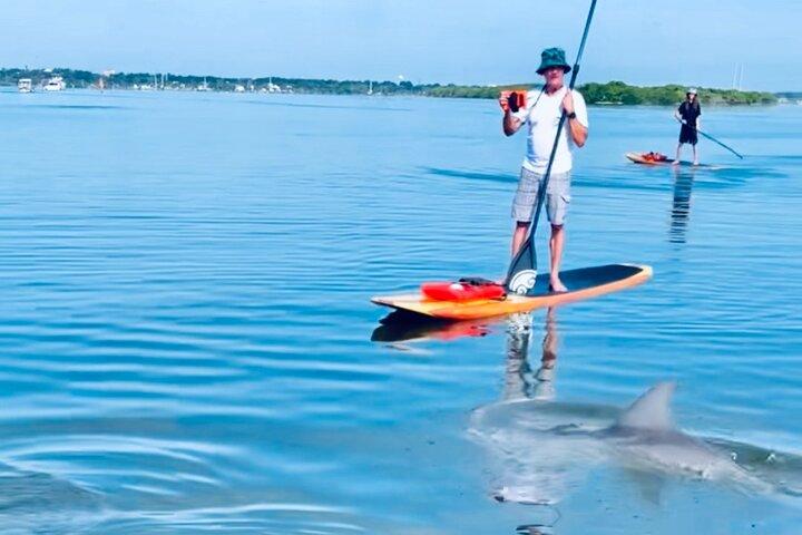 Dolphin and Manatee Kayak and SUP Adventure Tour of Cocoa Beach