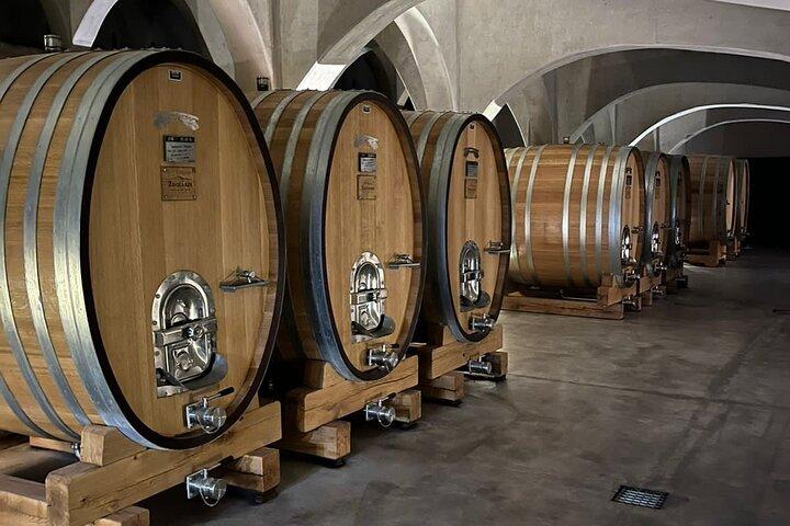 Private Tour Wineries in Mendoza with Gourmet Lunch
