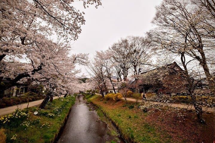 Mt Fuji Day Trip from Tokyo by Car with Photographer Guide