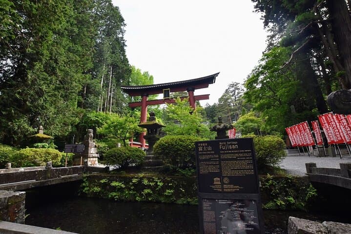 Mt Fuji Day Trip from Tokyo by Car with Photographer Guide