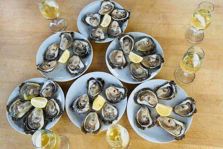 Ston Seafood & Wine ,Boat Tour with Oysters and Mussels (lunch)