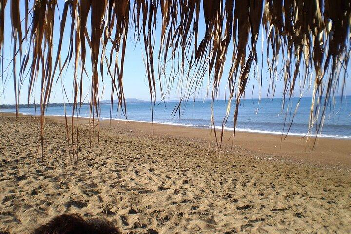 Ancient Olympia & Kourouta Beach - All Included Tour
