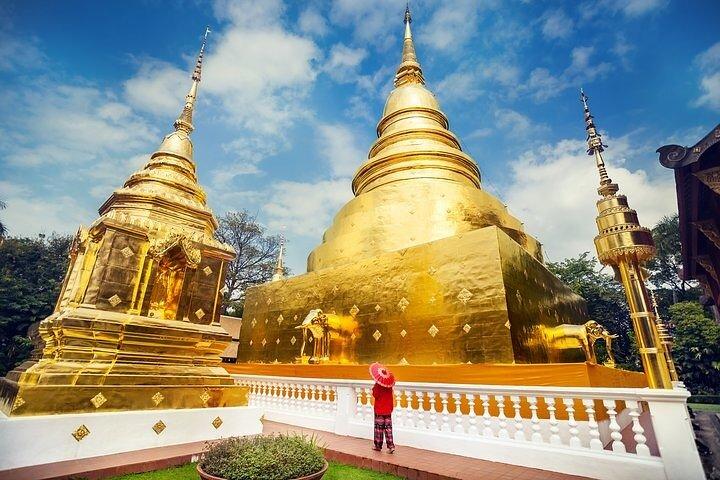White Temple and Golden Triangle Day Trip from Chiang Mai