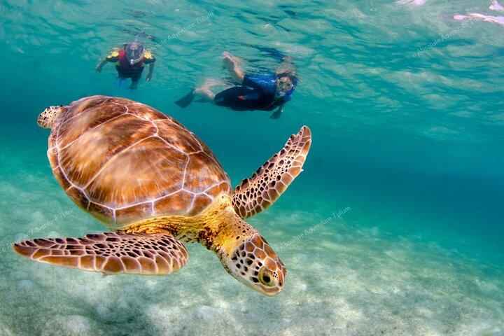 Bestseller! Tulum Private Tour with Turtles and Cenote Snorkeling