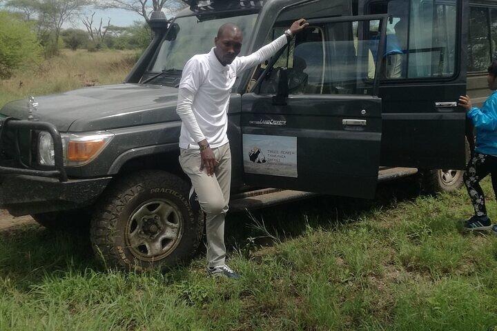 5-Day Tanzania Safaris (living Among lions-mid-range)