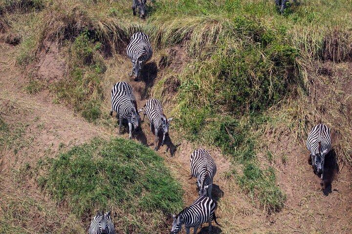 *7-Day Wildebeest Migration Safari*