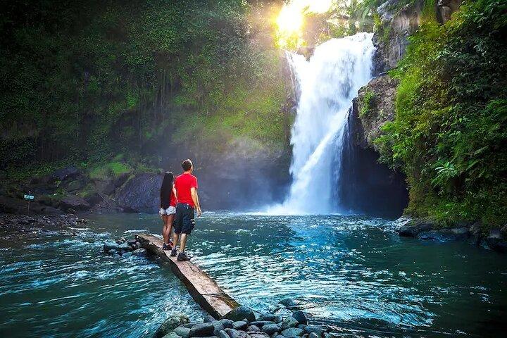 Half Day Bali Tour