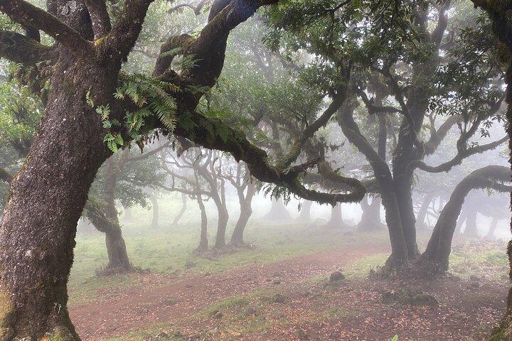 West Side Private Full Day Tours around Madeira Island