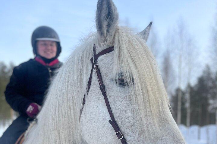 Riding Tour with Finnhorses at Santa Claus Village