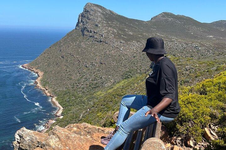 Private Guided Tour in Cape of Good Hope and Table Mountain