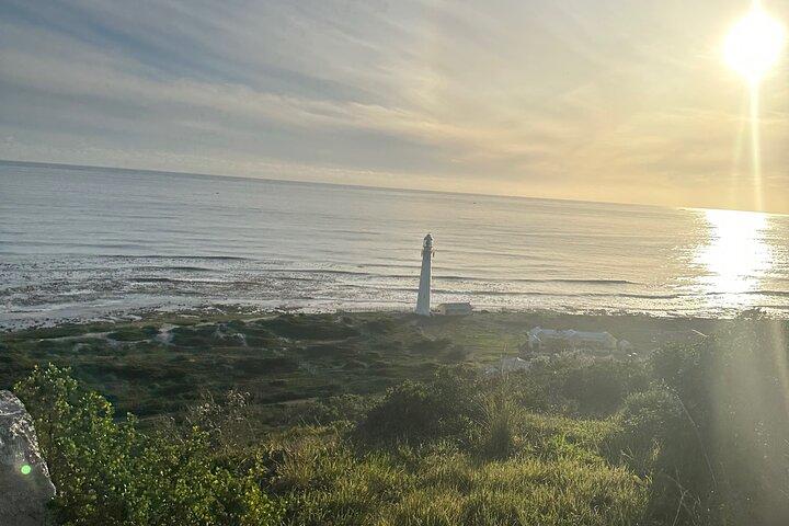 Private Guided Tour in Cape of Good Hope and Table Mountain
