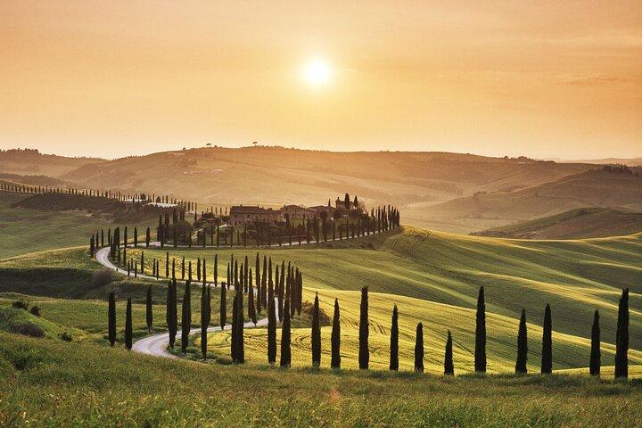 Full Day PRIVATE Guided Tour in Val D'Orcia Region from Florence