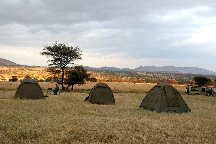 5 Days Classic Tanzania Camping Safaris