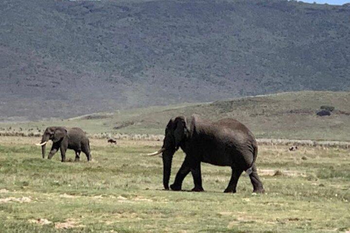 5 Days Classic Tanzania Camping Safaris