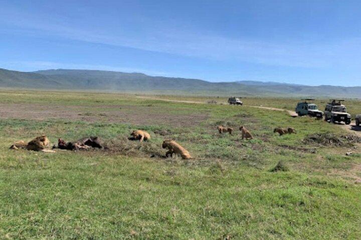 5 Days Classic Tanzania Camping Safaris