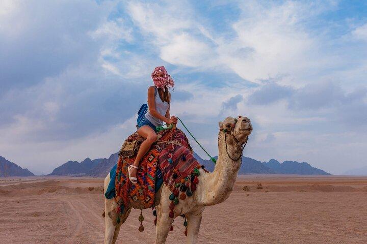 Riding a Camel West of Luxor