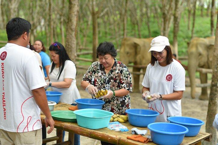 Khao Lak Elephant Sanctuary, Takua Pa Old Town & Food Tour
