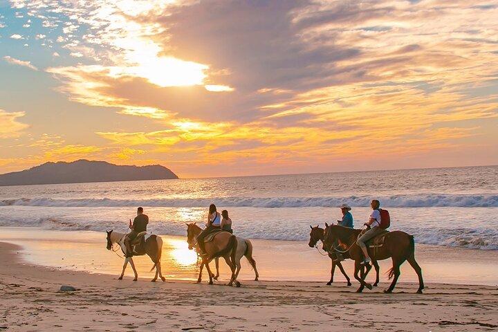 Cabo Shore Excursion: Beach Horseback Ride & Tequila Tasting