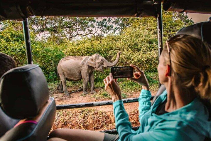 Yala National Park Safari from Tangalle