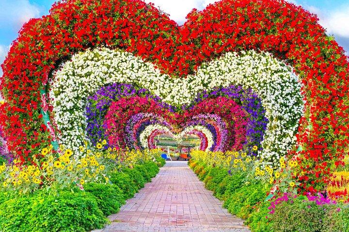 Dubai Miracle Garden Ticket