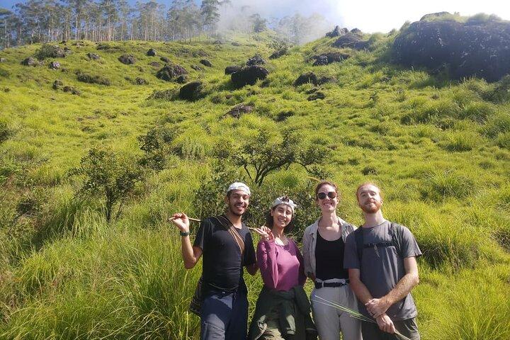 Half Day Hiking in Munnar Trekking Tour