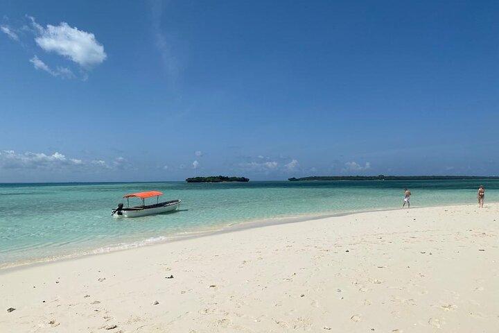 Zanzibar Dolphin Tour, Sandbank & Snorkeling at Pungume Island