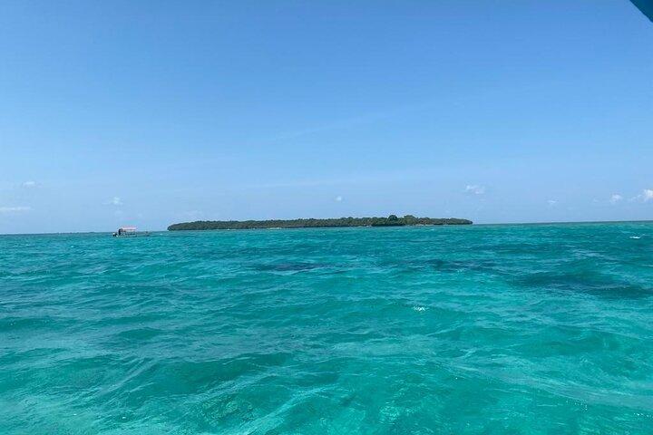 Zanzibar Dolphin Tour, Sandbank & Snorkeling at Pungume Island