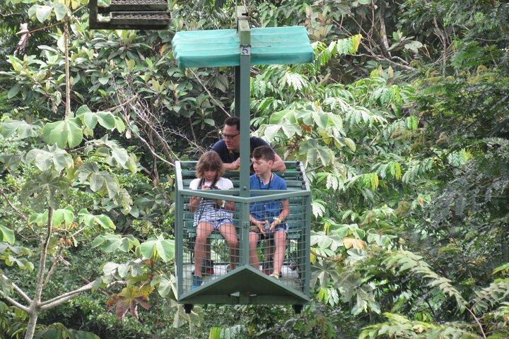 Aerial Tram & Sloth Sanctuary in the Rainforest