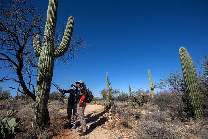 Custom Tucson Day Tour from Phoenix