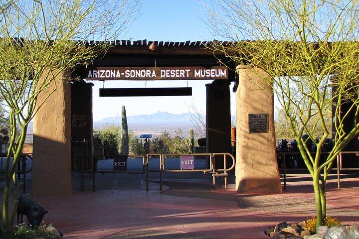 Custom Tucson Day Tour from Phoenix