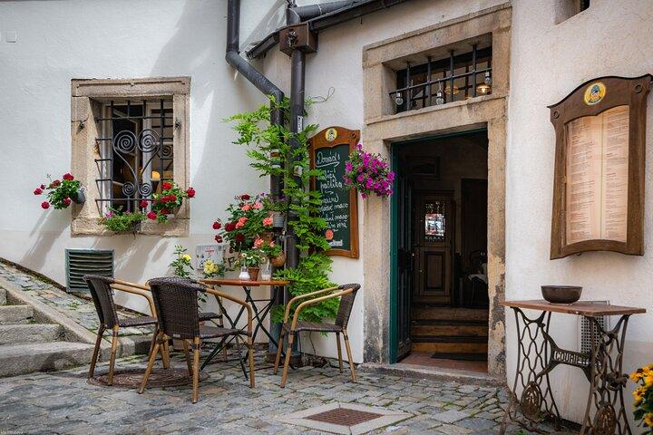 Private Day Trip From Vienna To Cesky Krumlov, Friendly Driver