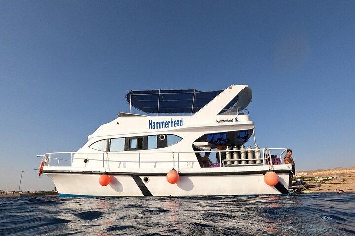 Snorkeling Activity in Aqaba with Lunch and Transportation (Boat)