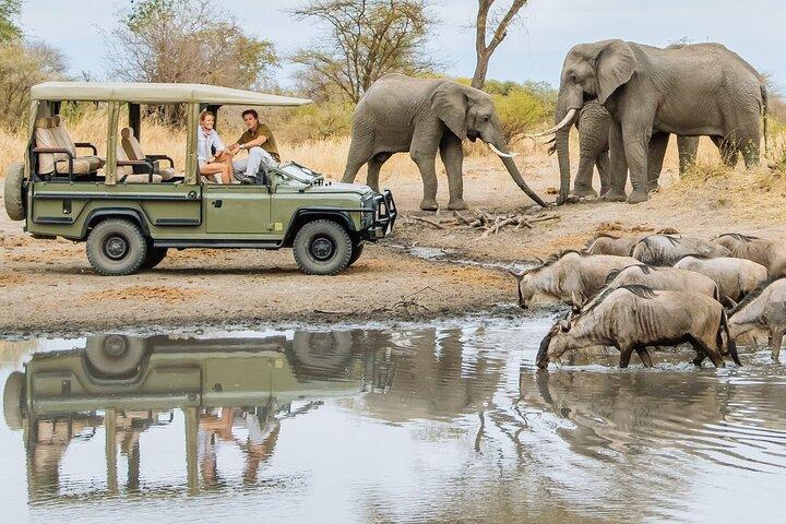 5 Day Samburu and Masai Mara Flying Safari