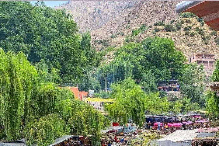 From Marrakech: Ourika Valley, Atlas, Waterfalls & Guide