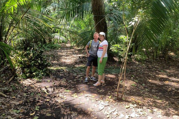 Jozani Forest and Butterfly Center Combined Tour