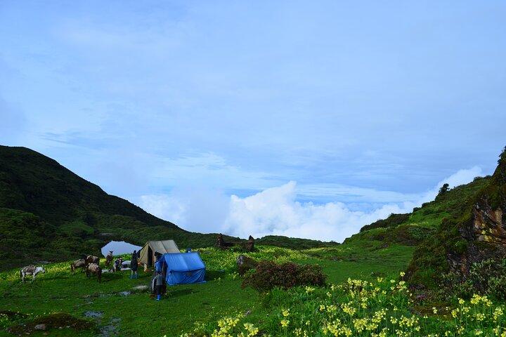 Bhutan Walking Holidays with Bumdra Camping.