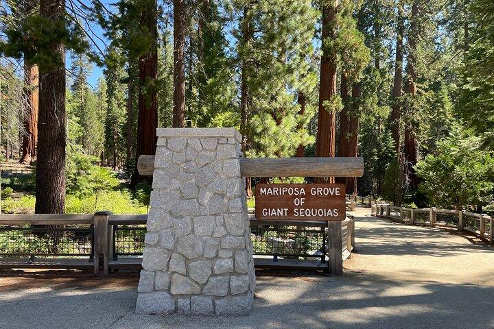 Yosemite National Park & Sequoias Private Tour from San Francisco