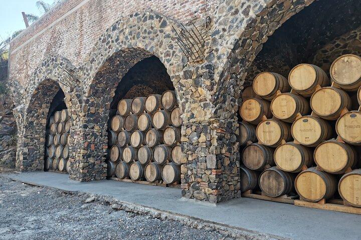 PRIVATE Fire TOUR: Pyramids, Volcanoes, Agaves & Tequila