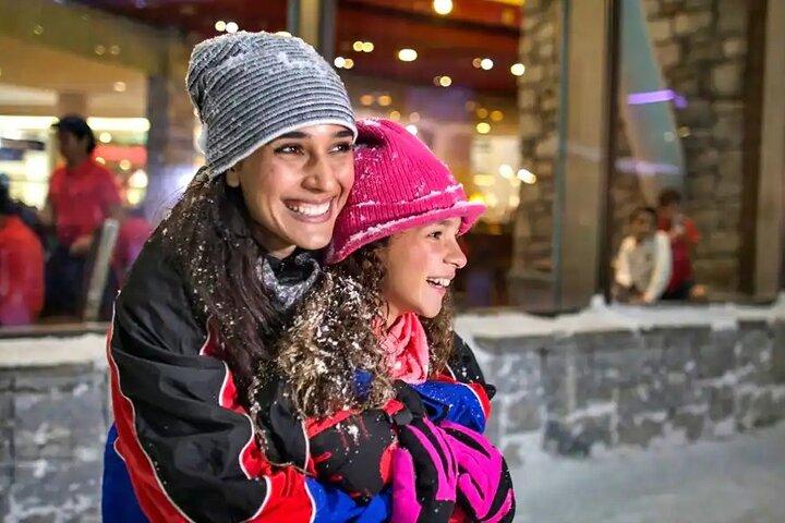 Dubai Fun in the Snow - Ski Dubai Tickets
