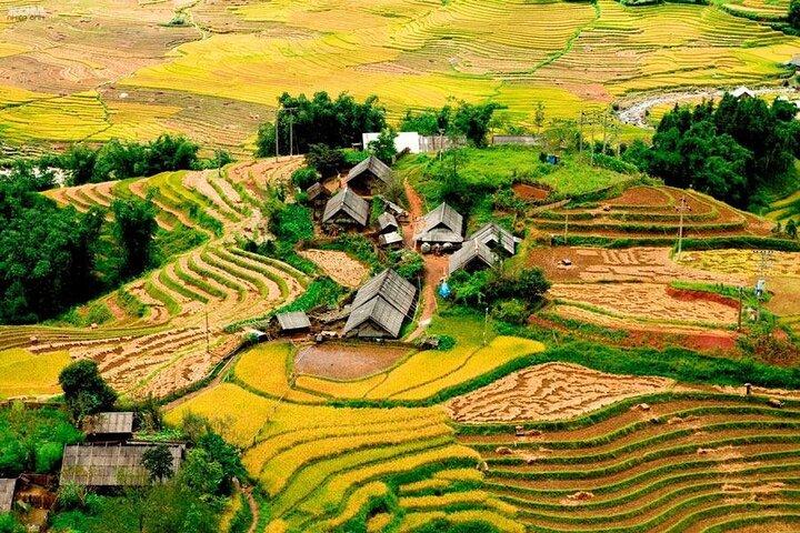 1 Day Sapa Trekking To Lao Chai and Ta Van Village