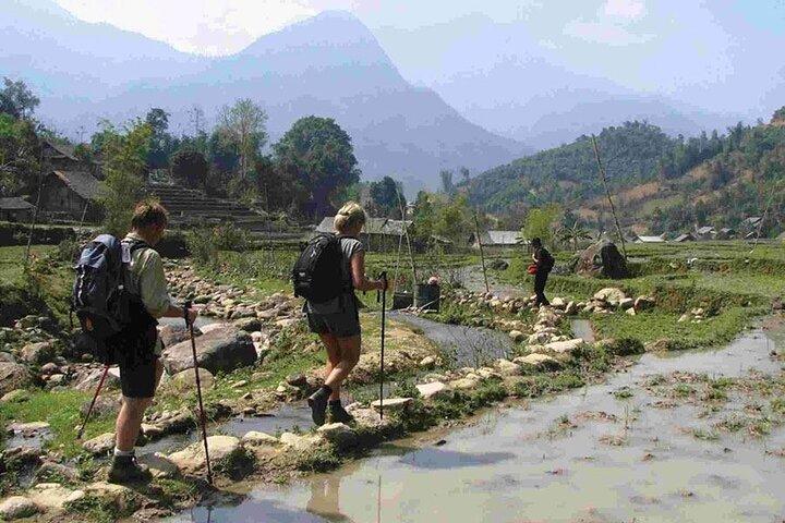 From Sapa: 1 Day Trekking to Terrace field and local Village