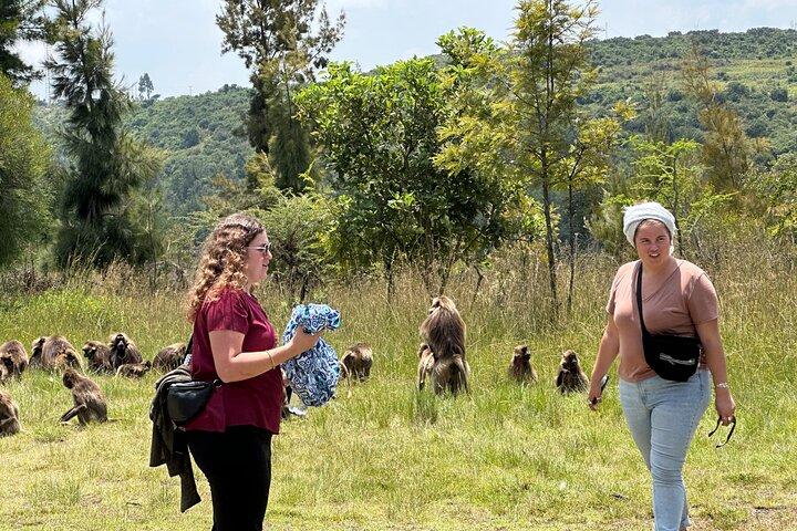 Debre Libanos, Portuguese Bridge & Gelada Baboons Day Tour