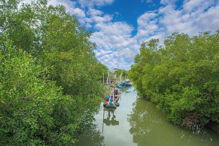 Can Gio Mangrove Forest 1 day tour