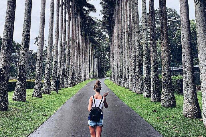 Kandy Day Tour From Colombo