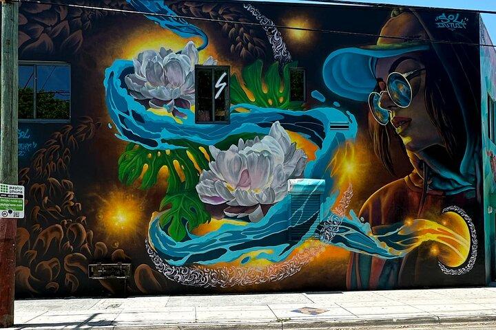 Wynwood Street Art Tour - Artist Lead -VIP Cart