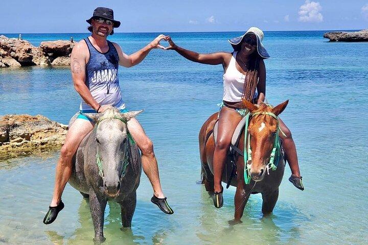 Horseback Ride and Swim Jamaica