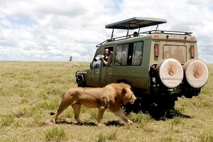 4 Days Tanzania Private Lodge Safari