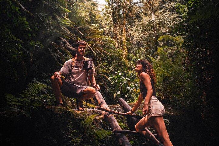 Tour to Materuni Waterfalls, coffee tour & Kikuletwa Hot Springs