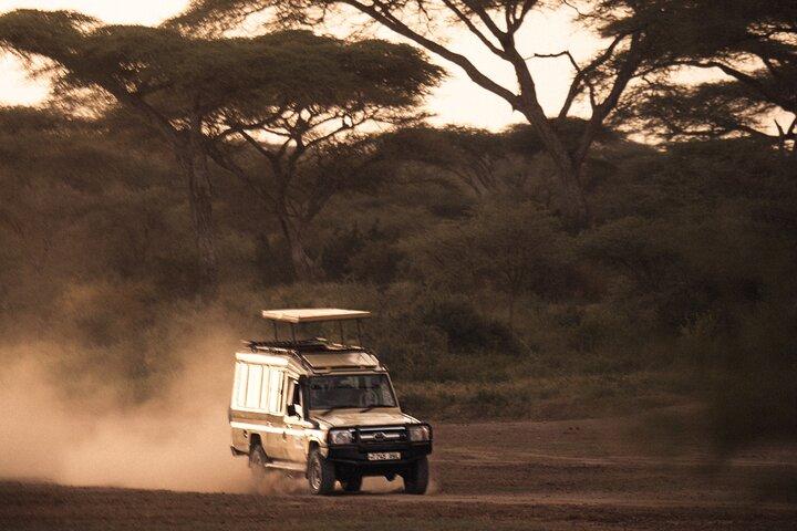 2 Days Tarangire and Ngorongoro Safari Tour in Tanzania